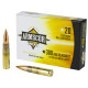 Ammunition